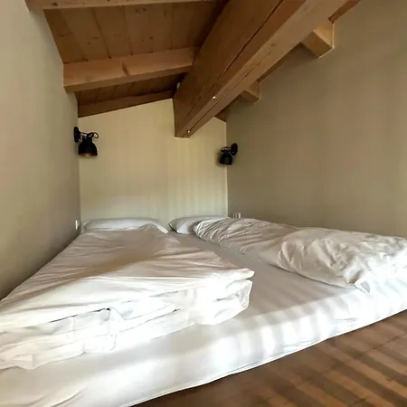 Vila In Niederau Kropfrad