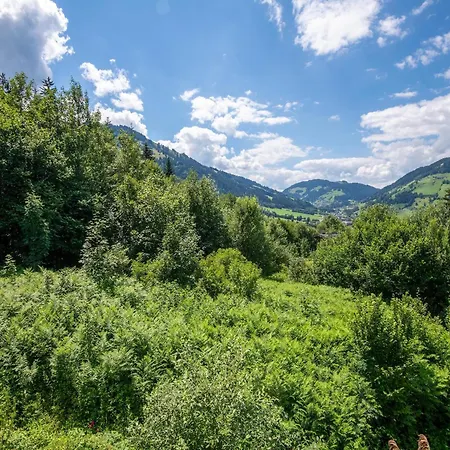 In Niederau Kropfrad